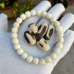 $ White Jade Bodhi